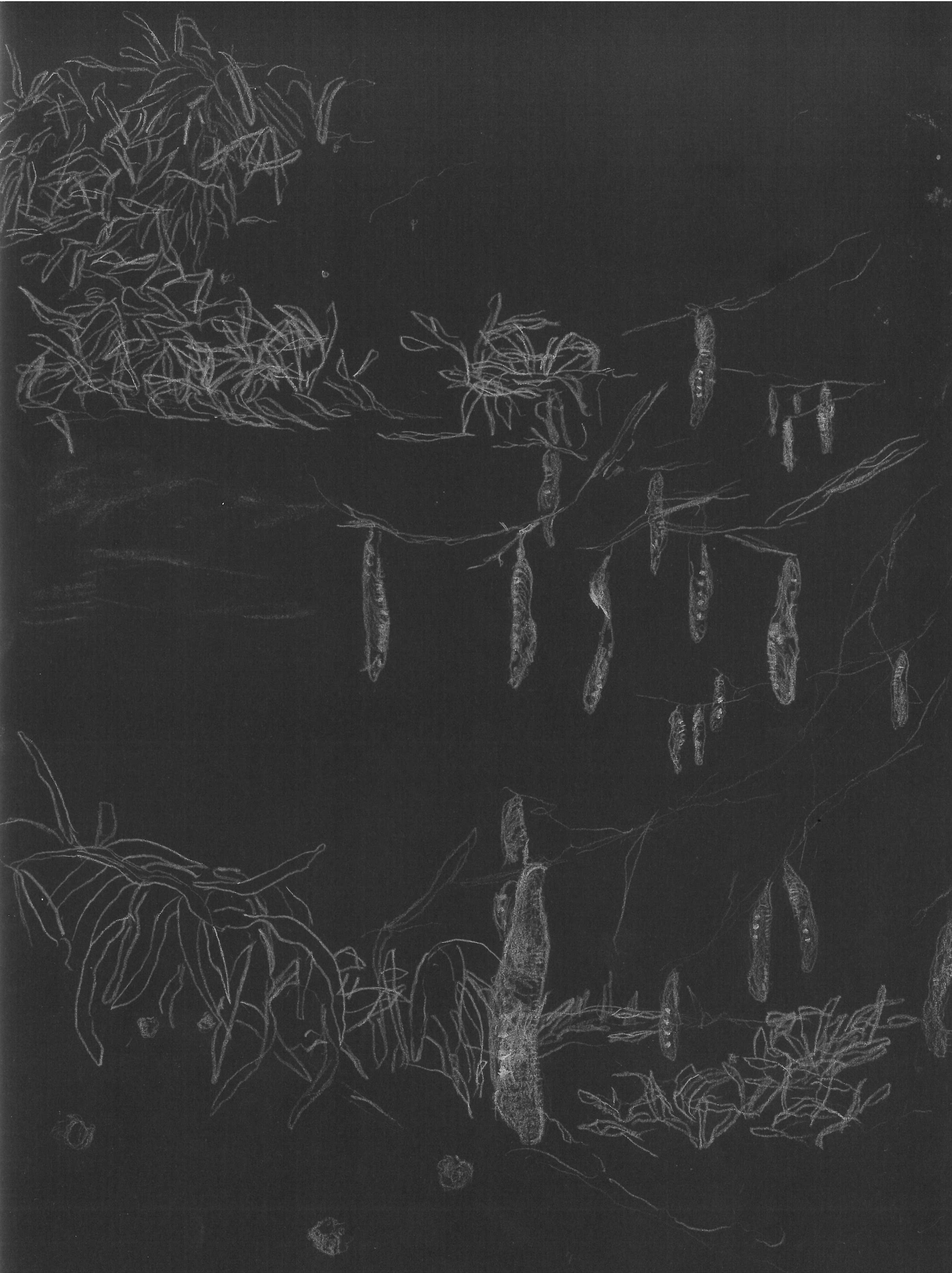 © <a>Sofie Højgaard</a>