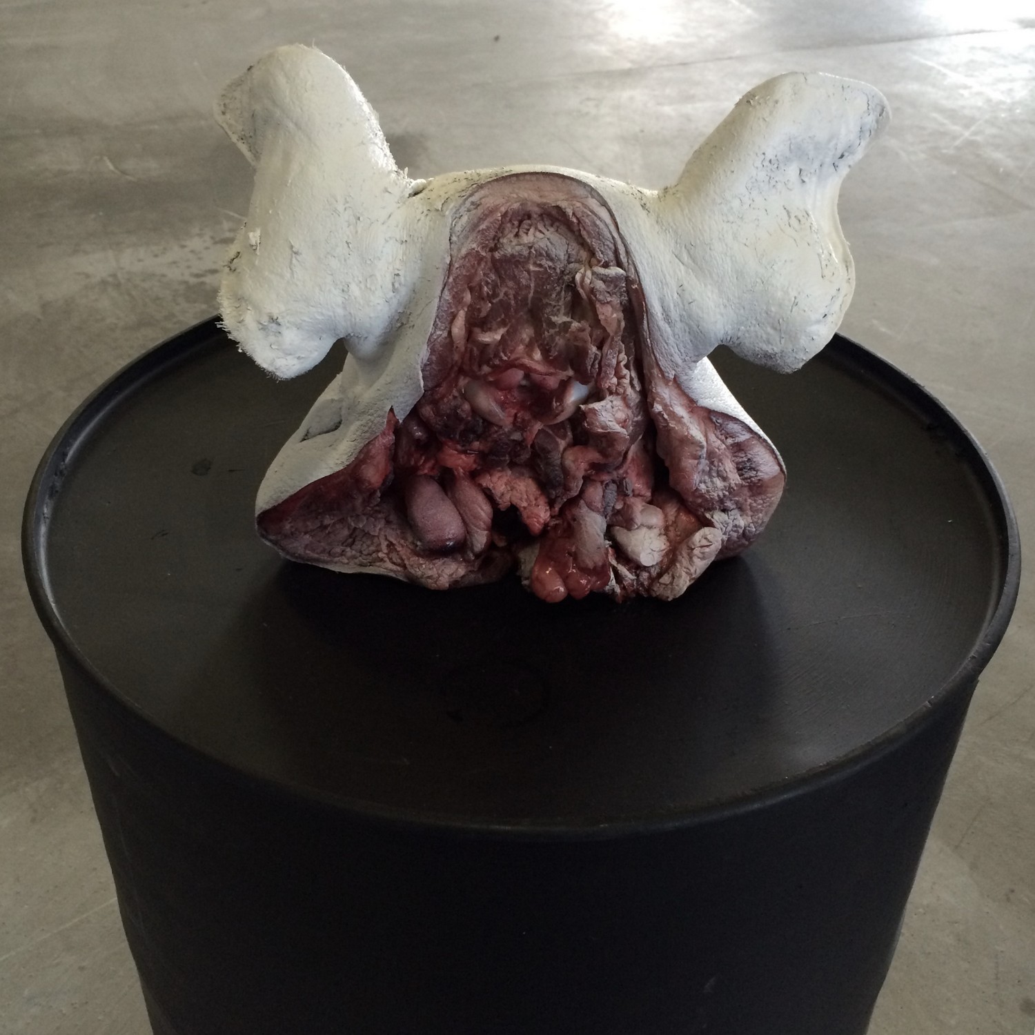 Александр Плюснин, Светлые головы, 2016 © Aroundart