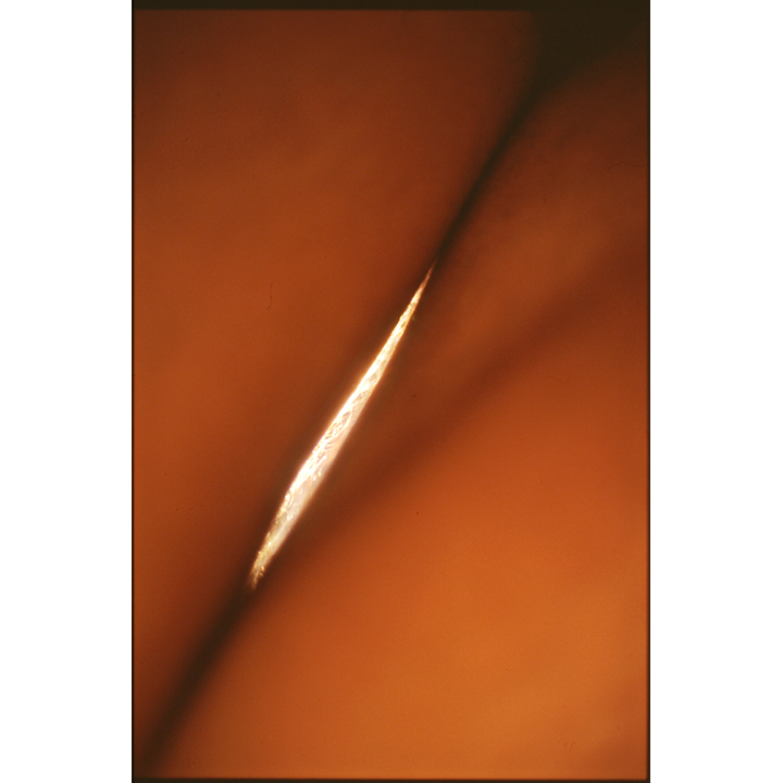 Splitting of the Flæsh – Spli’gh’tting of the Flæsh.Magma of The Light as aMagma of The Color as aMagma as Figure, ………………