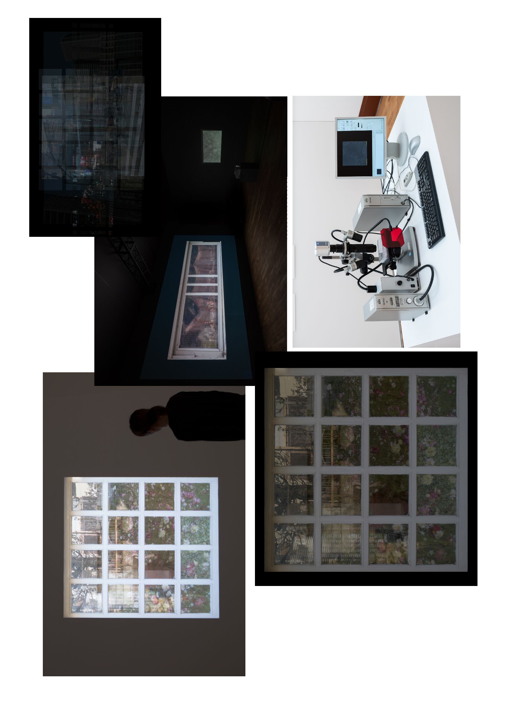 «Cells and Glass». Yuki Hayashi (video artist) × Center for iPS Cell Research and Application (CiRA), Kyoto University (2