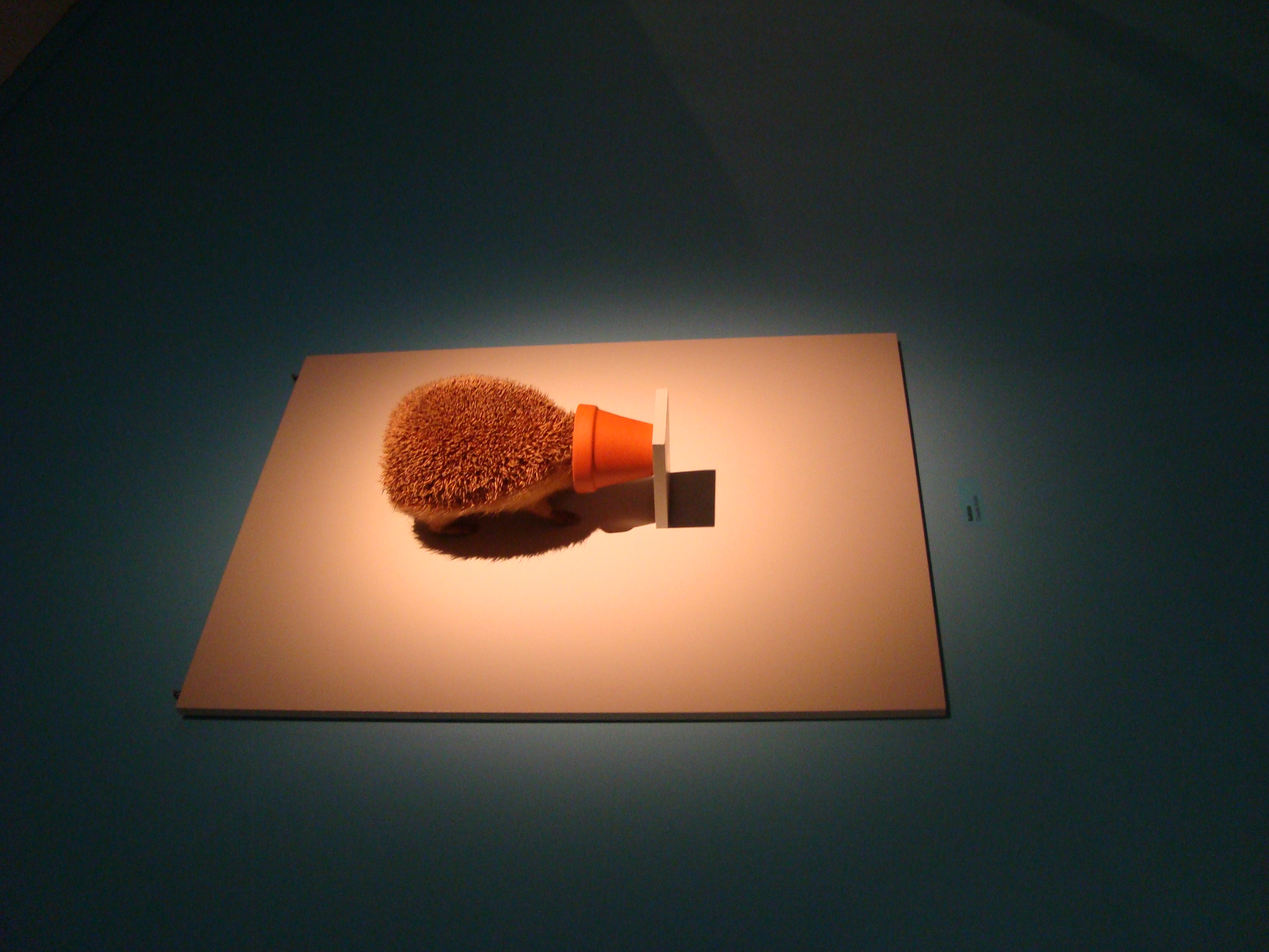<a>Музей естественной истории</a>. Берн. 2011. Фото автора