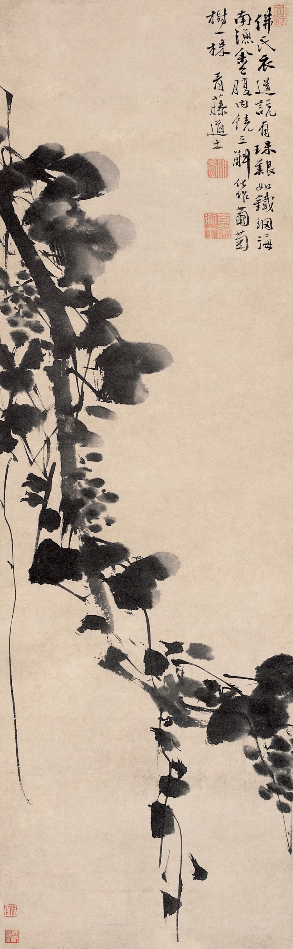 Xu Wei(徐渭 Chinese, 1521-1593)Grapes葡萄 MingDynasty
