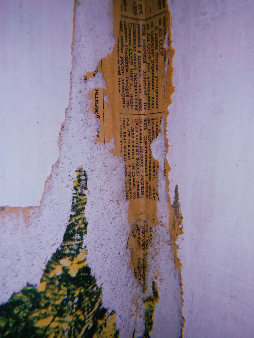Фото с родительской дачи Егора Клочихина, где была сделана обложка “Losckuty.” октябрь 2019 г.