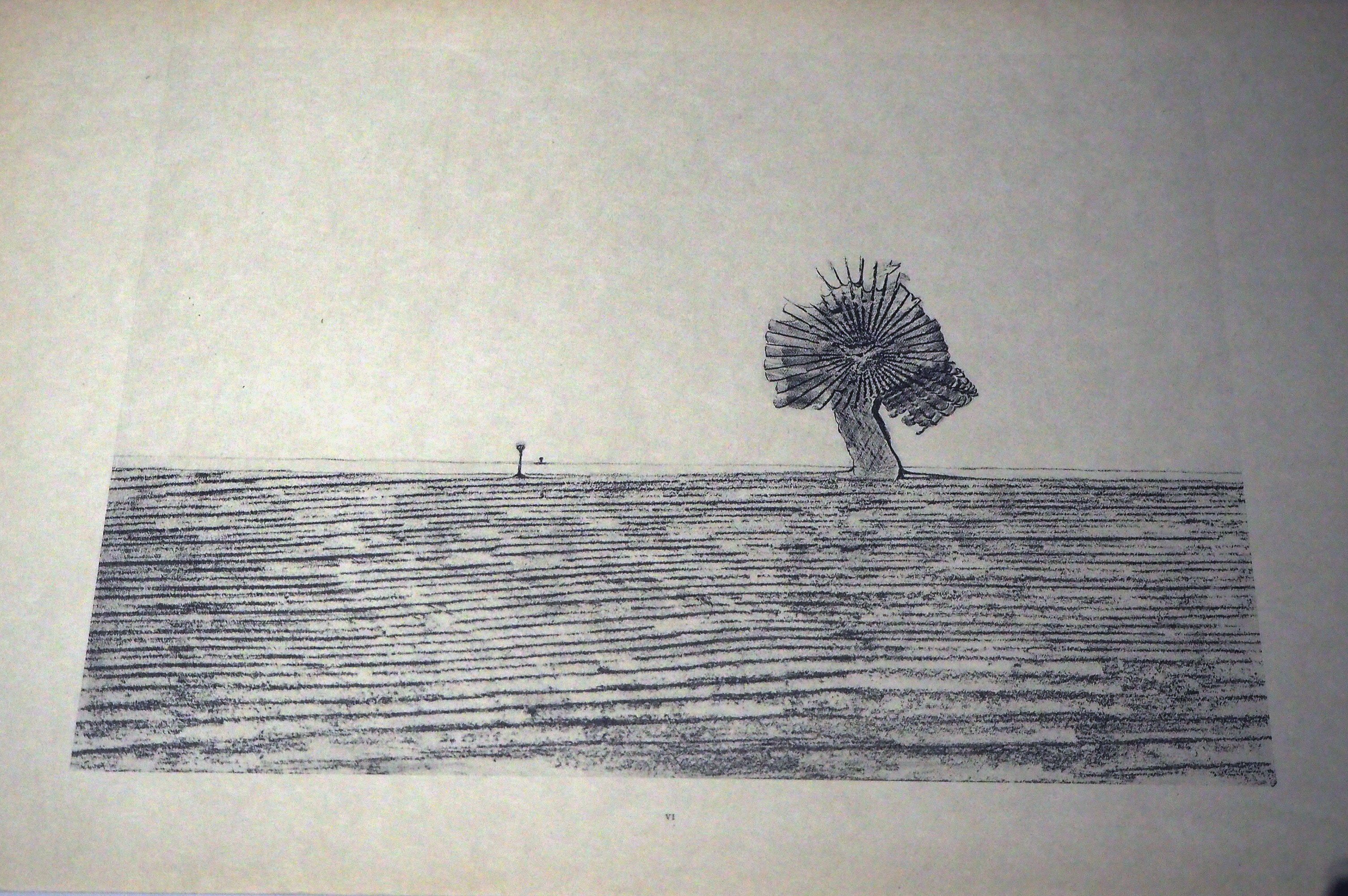 Макс Эрнст. «Пампасы» из серии «Естественная история». 1926