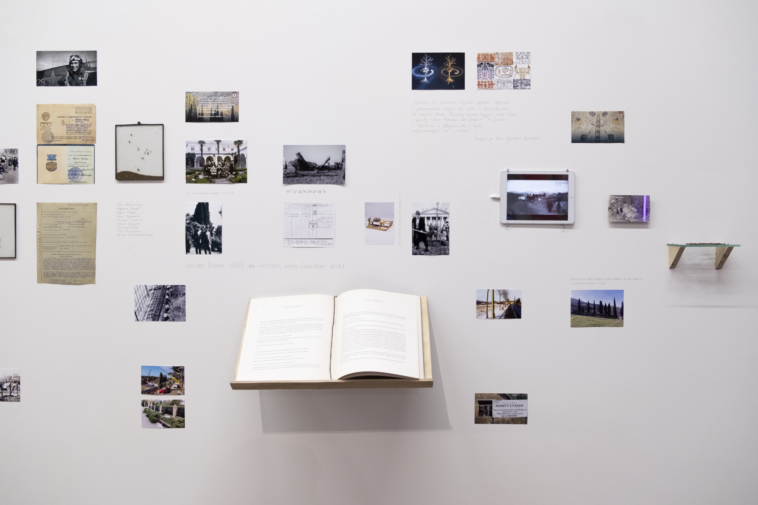 Катерина Верба. Реабилитация кипариса, 2021. Вид инсталляции в ЦСИ «Типография». Фото: Лилит Матевосян