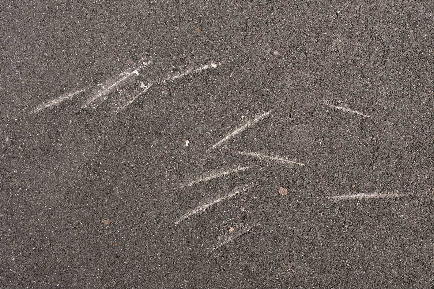 55°47'00"N / 37°34'39"E