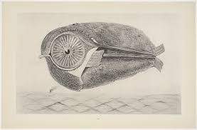 Max Ernst. The Fugitive (L'Évadé) from "Natural History"