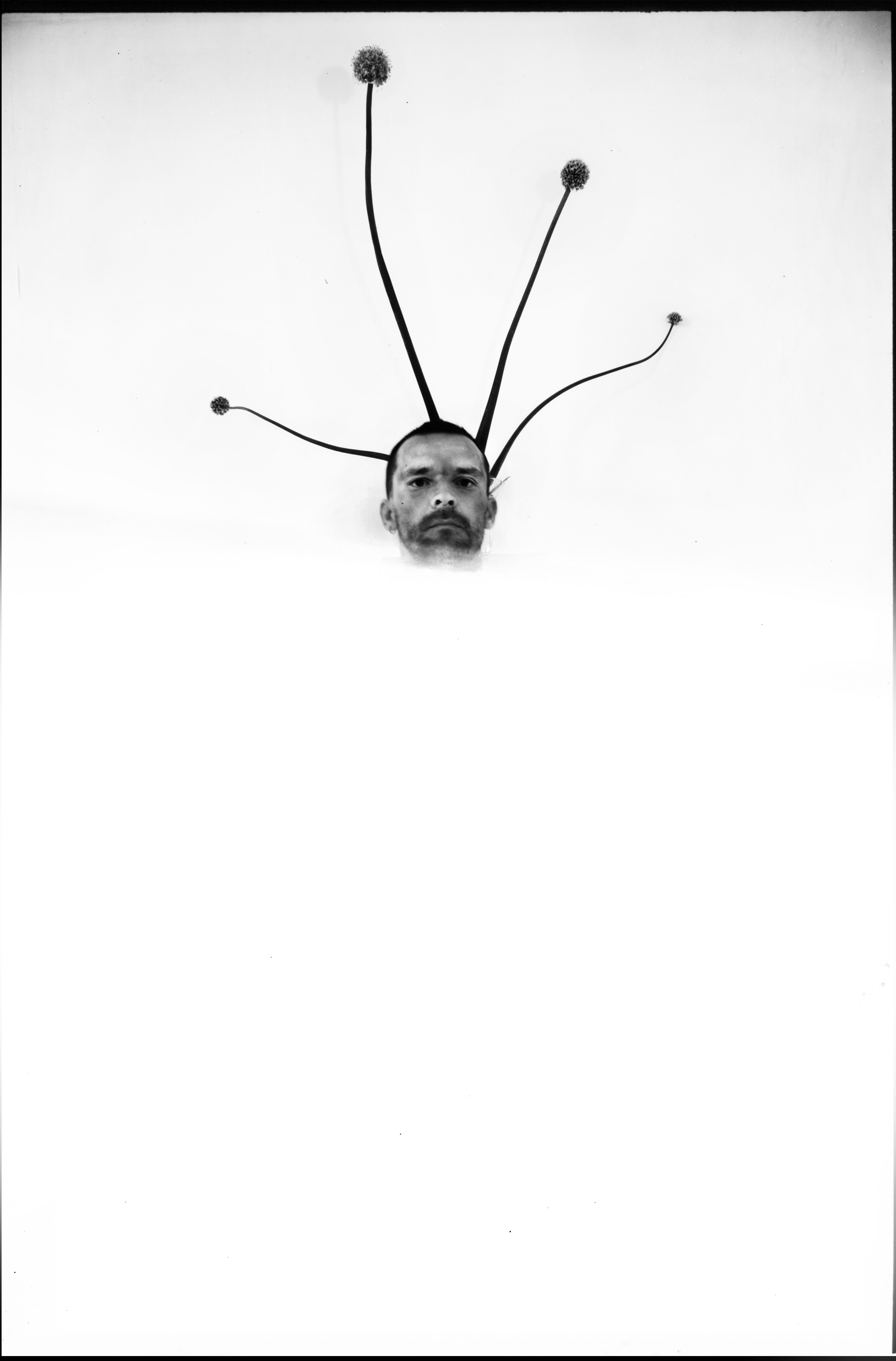 Vagueness or Ambiguity – Vagueness for Ambiguity. Disembodied figure of the vagueness in ambiguity of the calcigranite. F