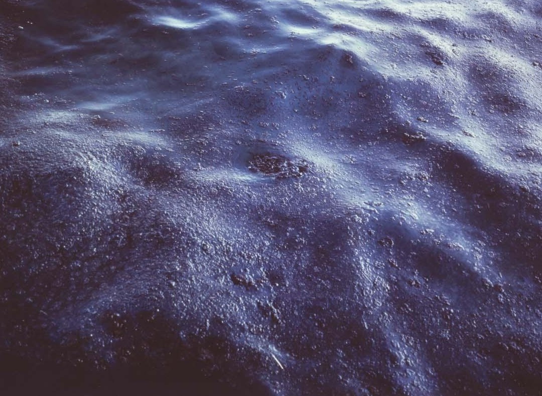 Allan Sekula. Black tide / Marea Negra, 2002 – 2003