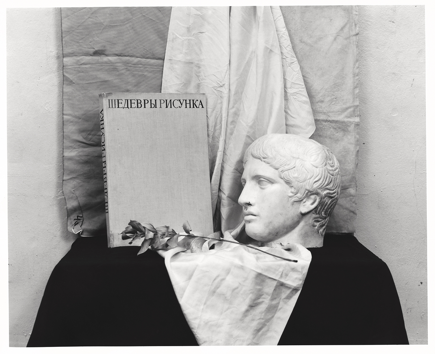 Александра Паперно. "Натюрморт" (из серии "Урок рисования"), 2015. Серебряная печать