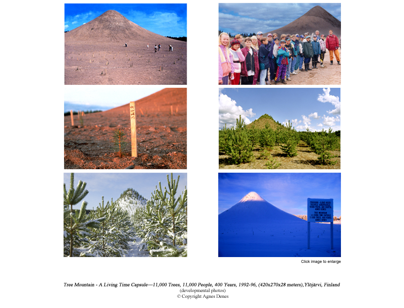 Проект «Tree Mountain – a Living Time Capsule – 11,000 Trees, 11,000 People, 400 Years». Фото: © www.agnesdenesstudio.com
