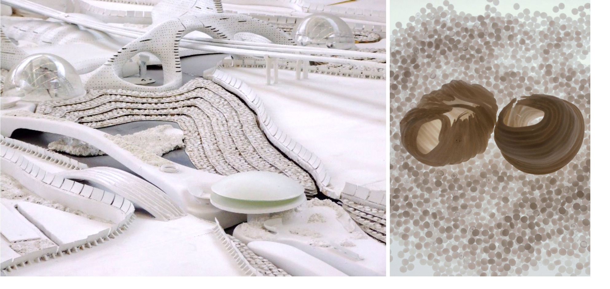 Рис. 8. Bio-City, Luigi Colani / Ecosystem of excess (Anthropo-de-centrism), Pinar Yoldas