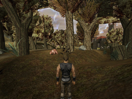 Gothic (2001): изнутри леса; вверху виднеется текстура полога, которая одета, будто юбка, на весь лесной массив