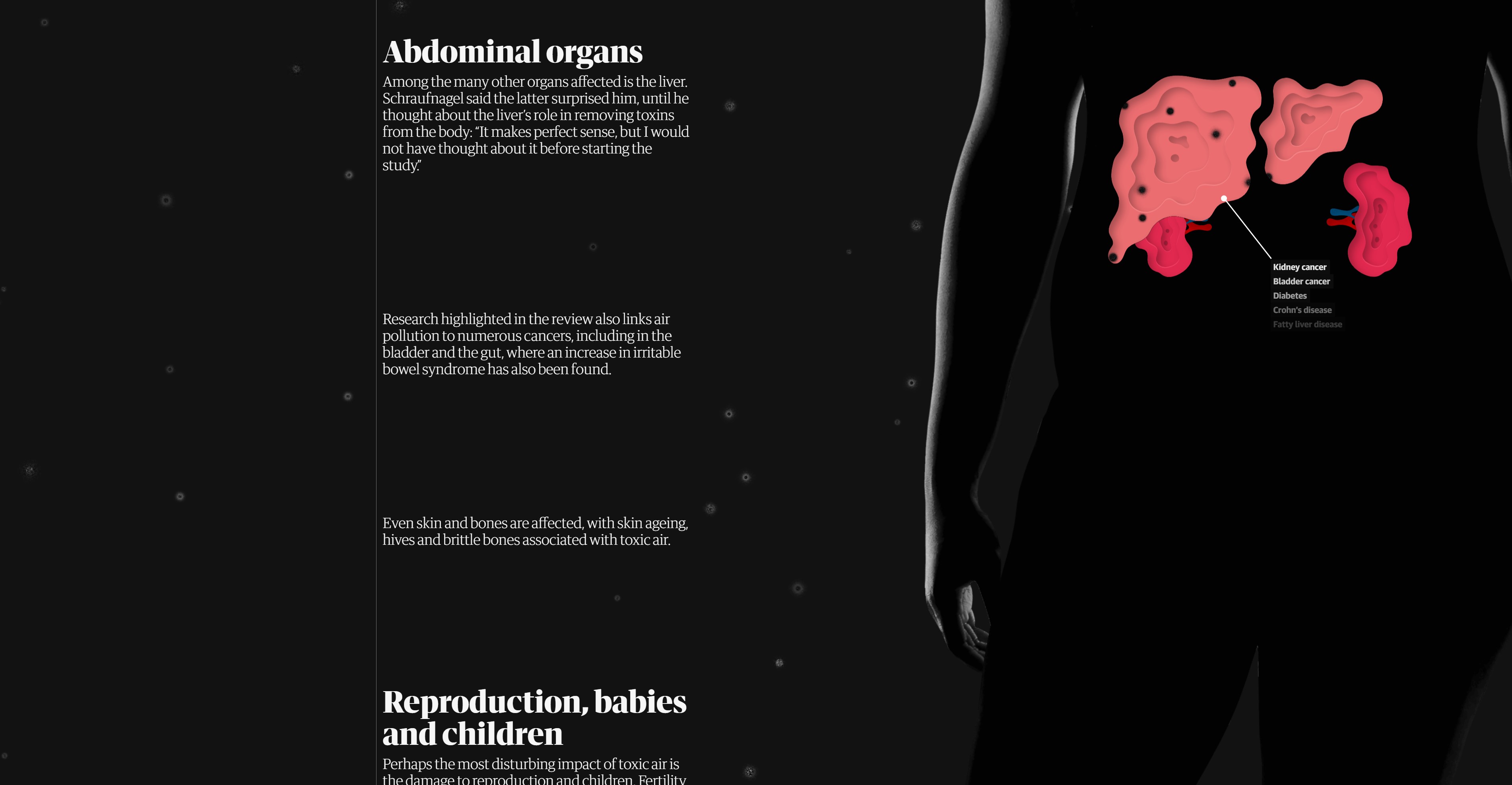 Инфографика в мультимедийном проекте "Revealed: air pollution may be damaging ‘every organ in the body’". Скриншот страни