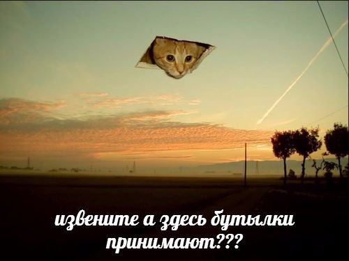 file.jpeg