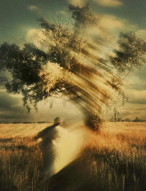 Егор Дорожкин. Имагинативный реализм: анархеология радости