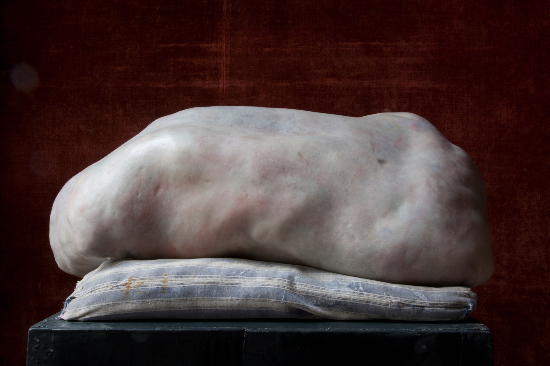 We Are All Flesh, Berlinde De Bruyckere, 2009–2010