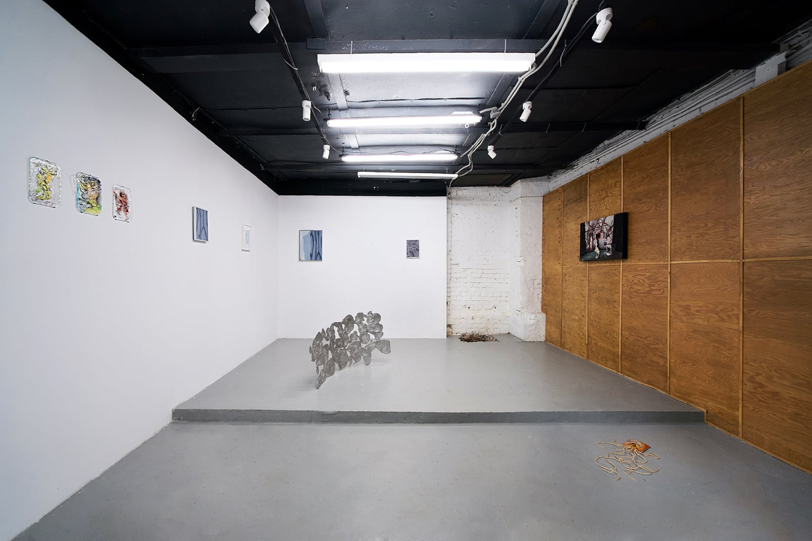 Выставка «Нелинейный эпизод», галерея ISSMAG, Москва, 2021. Кураторы TZVETNIK. Вид экспозиции
