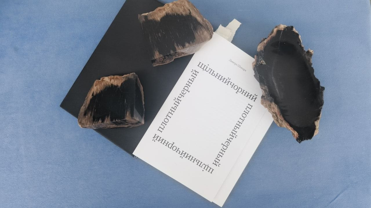 На фотографии: книга Дмитрия Шандры "Плонтыйчерный", работы @_several 