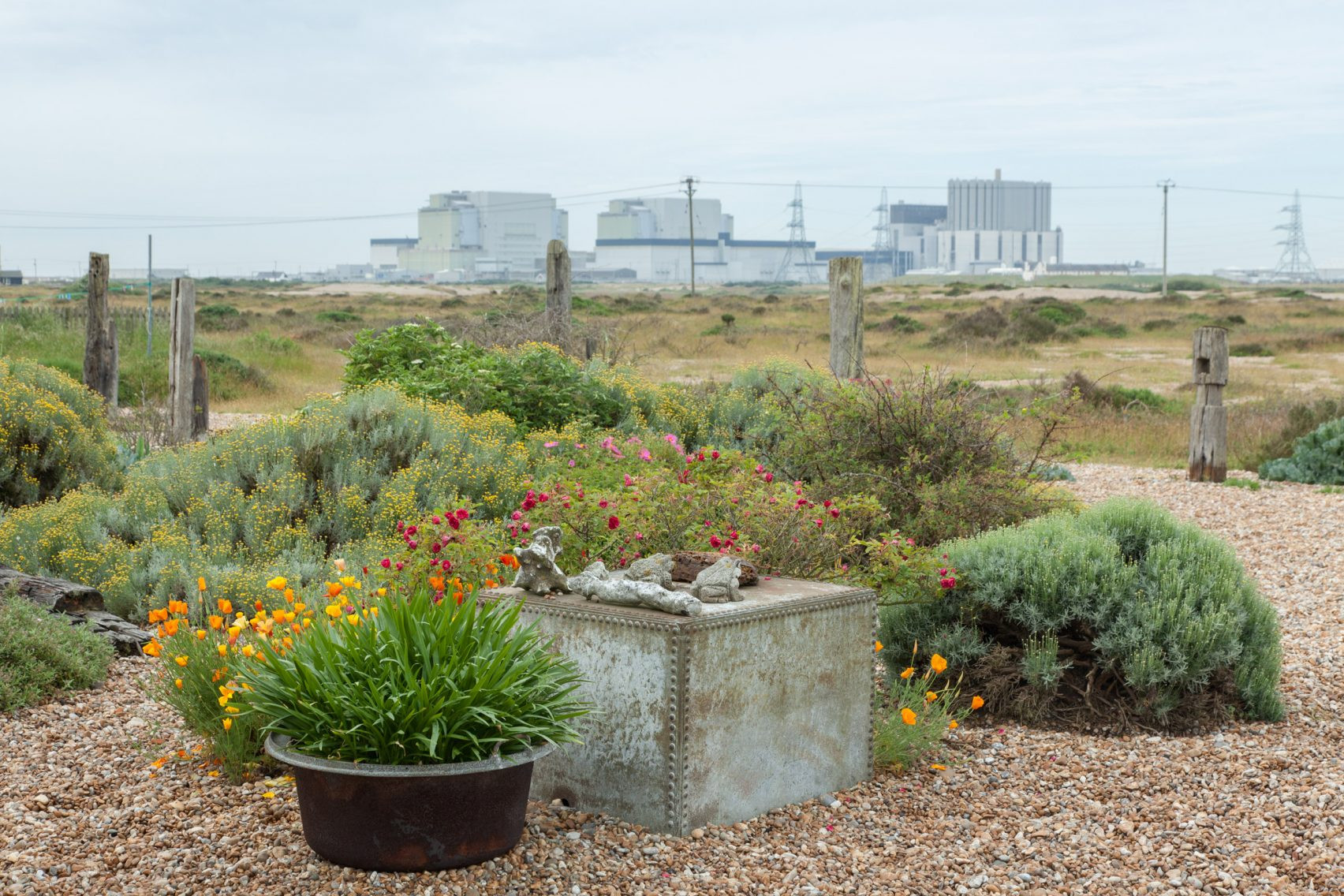 Derek Jarman’s Prospect Cottage saved by the Art Fund campaign. (Source: dezeen.com)