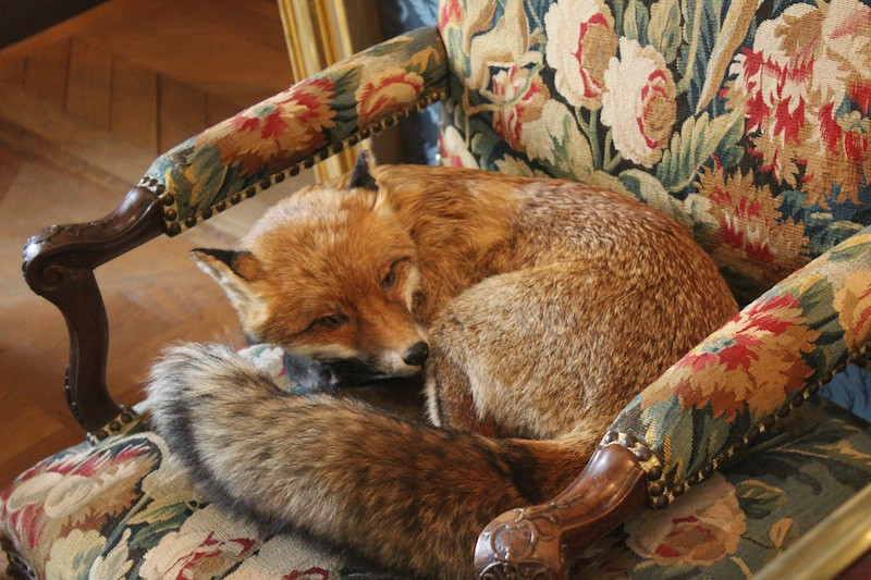 Le musée de la Chasse et de la Nature. Источник фото