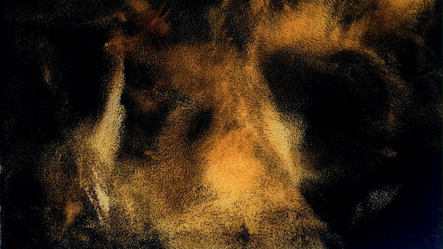 Лин Хеджинян и Карла Харриман. Широкая дорога (в переводе Алеси Князевой и Марии Громик)