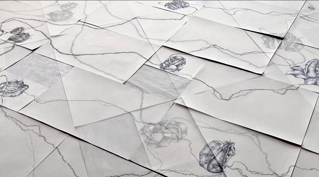 Quanto-flower (fragment), graphic, 2026