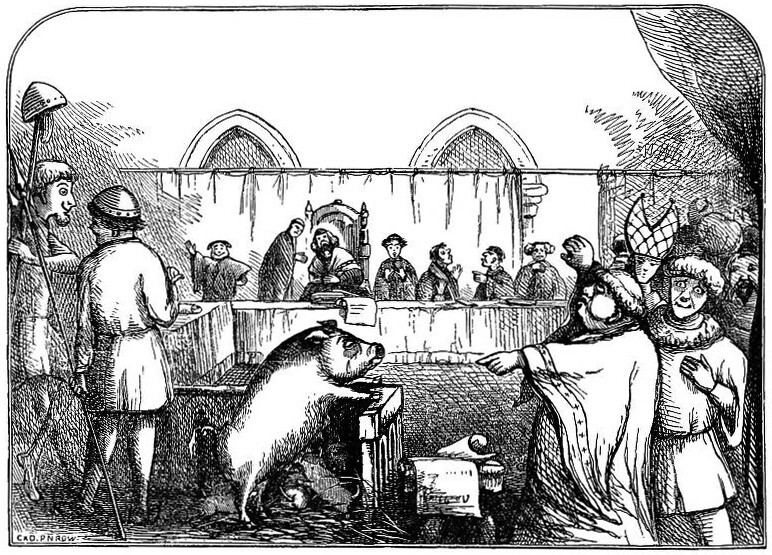Иллюстрация к&nbsp;“Chambers Book of Days,” изображающая суд над&nbsp;свиньей и&nbsp;ее поросятами за&nbsp;убийство ребенка. 1864