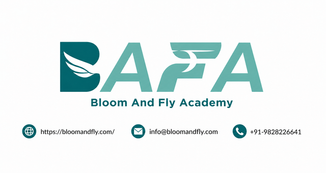 Aviation Academy in Jaipur | Learn, Train & Get Placed