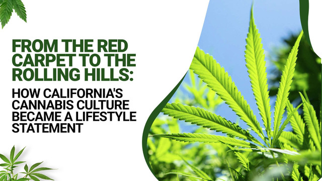 From the Red Carpet to the Rolling Hills: How California's Cannabis Culture Became a Lifestyle Statement