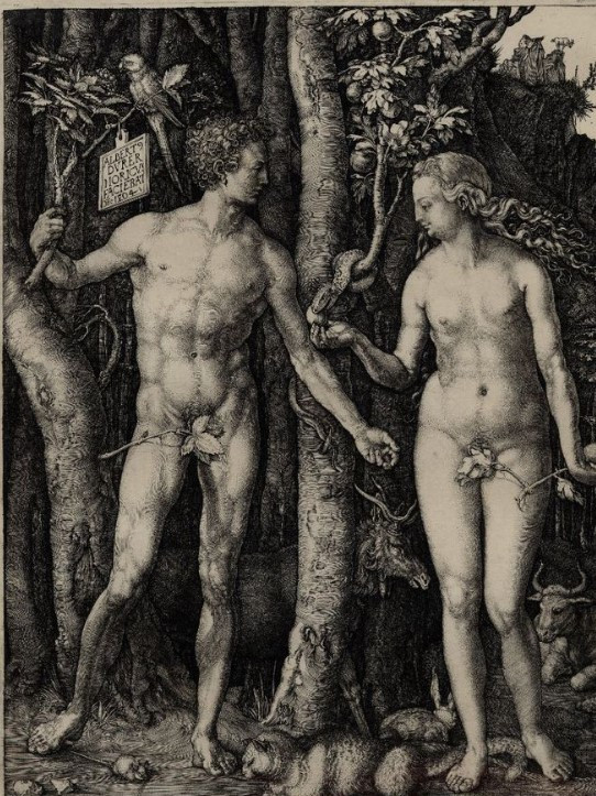 A. Dürer. 1504.