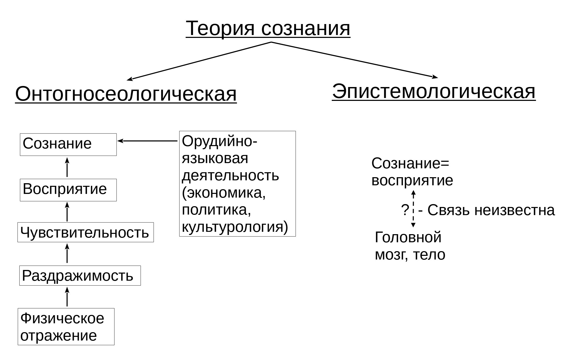 Схема происхождения и&nbsp;сущности сознания согласно теории отражения