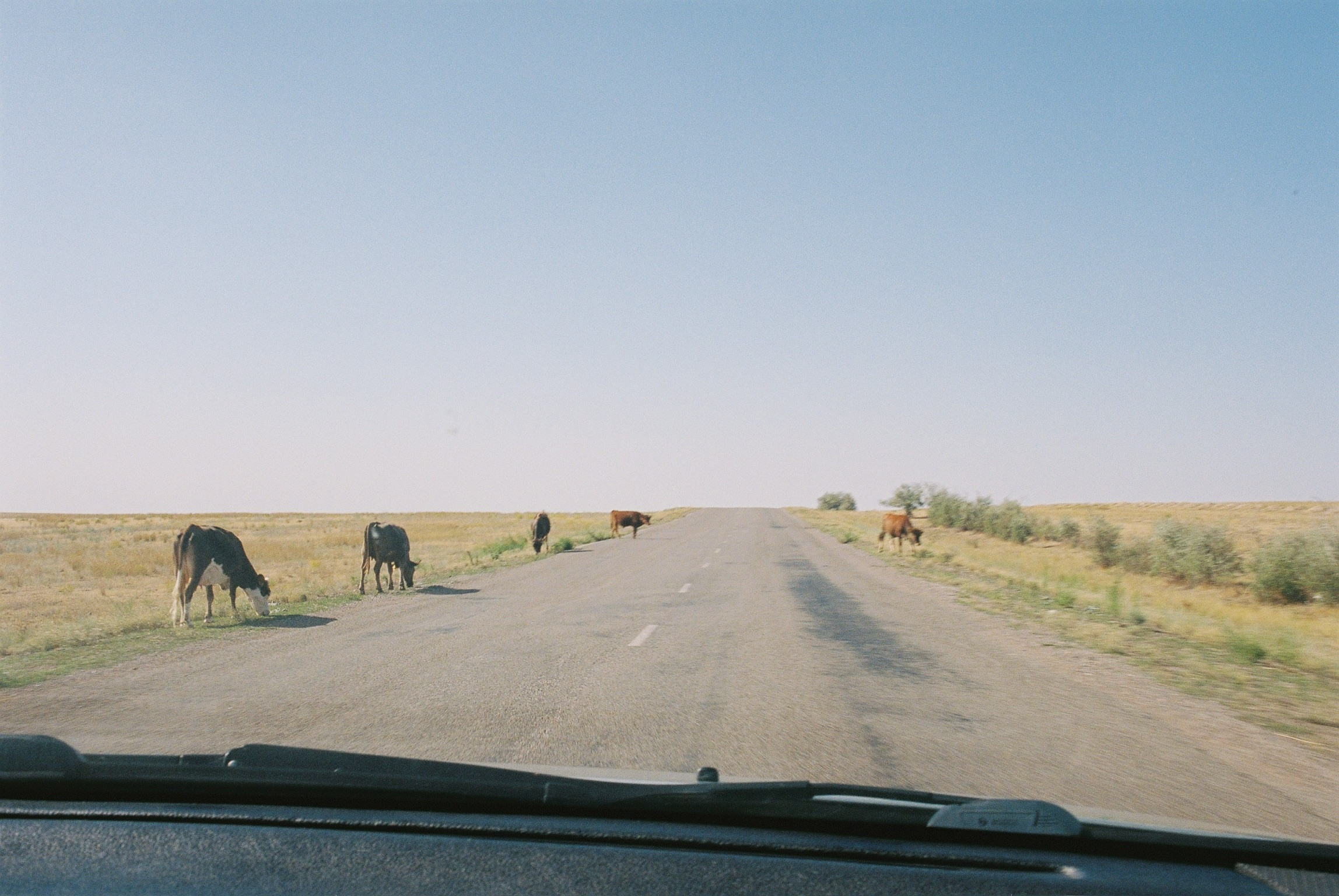 Road somewhere close to Ili Kapshagai (Tamgaly-Tas Petroglyph), Kapchagai city, Almaty region