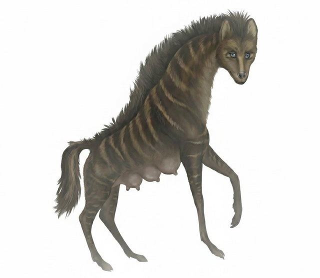 Мэгги Маунтфорд. Превращение