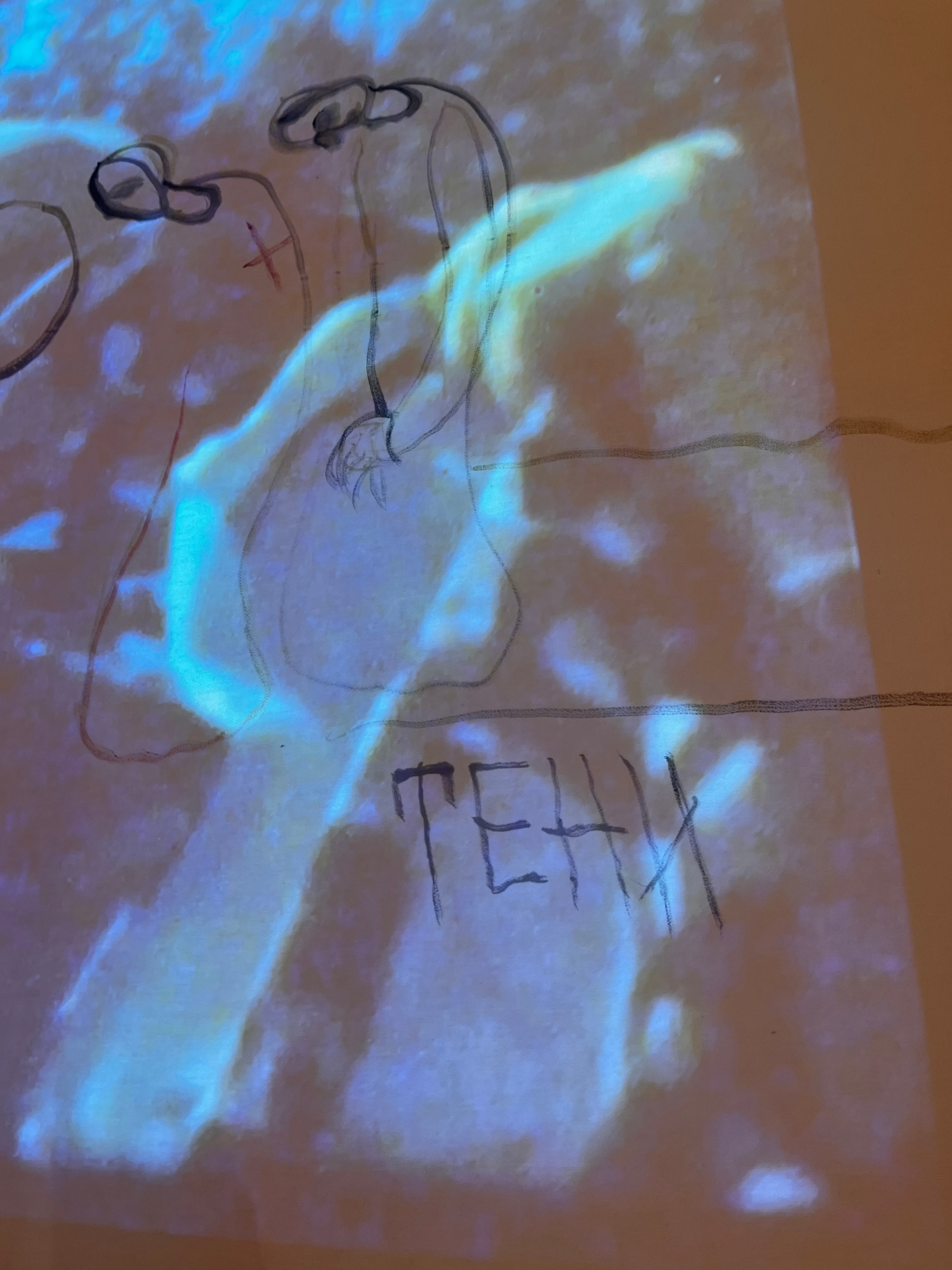 Фрагмент экспозиции на выставке