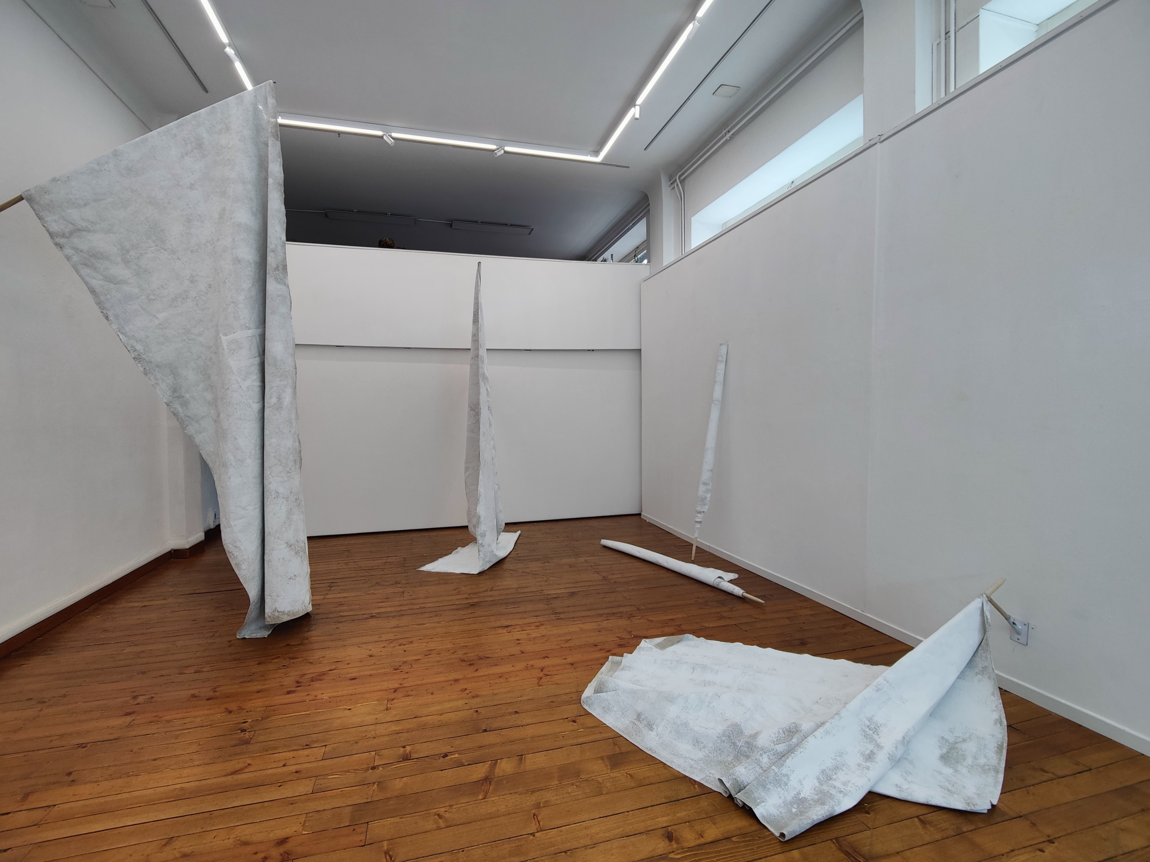 Arseny Zhilyaev, Lingua Madre, installation view della mostra, 2024. Courtesy l’artista e C+N