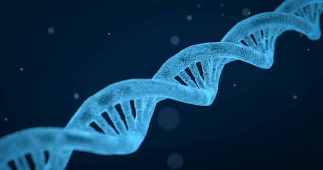 Europe’s Genomic Revolution: How Next Generation Sequencing Is Transforming