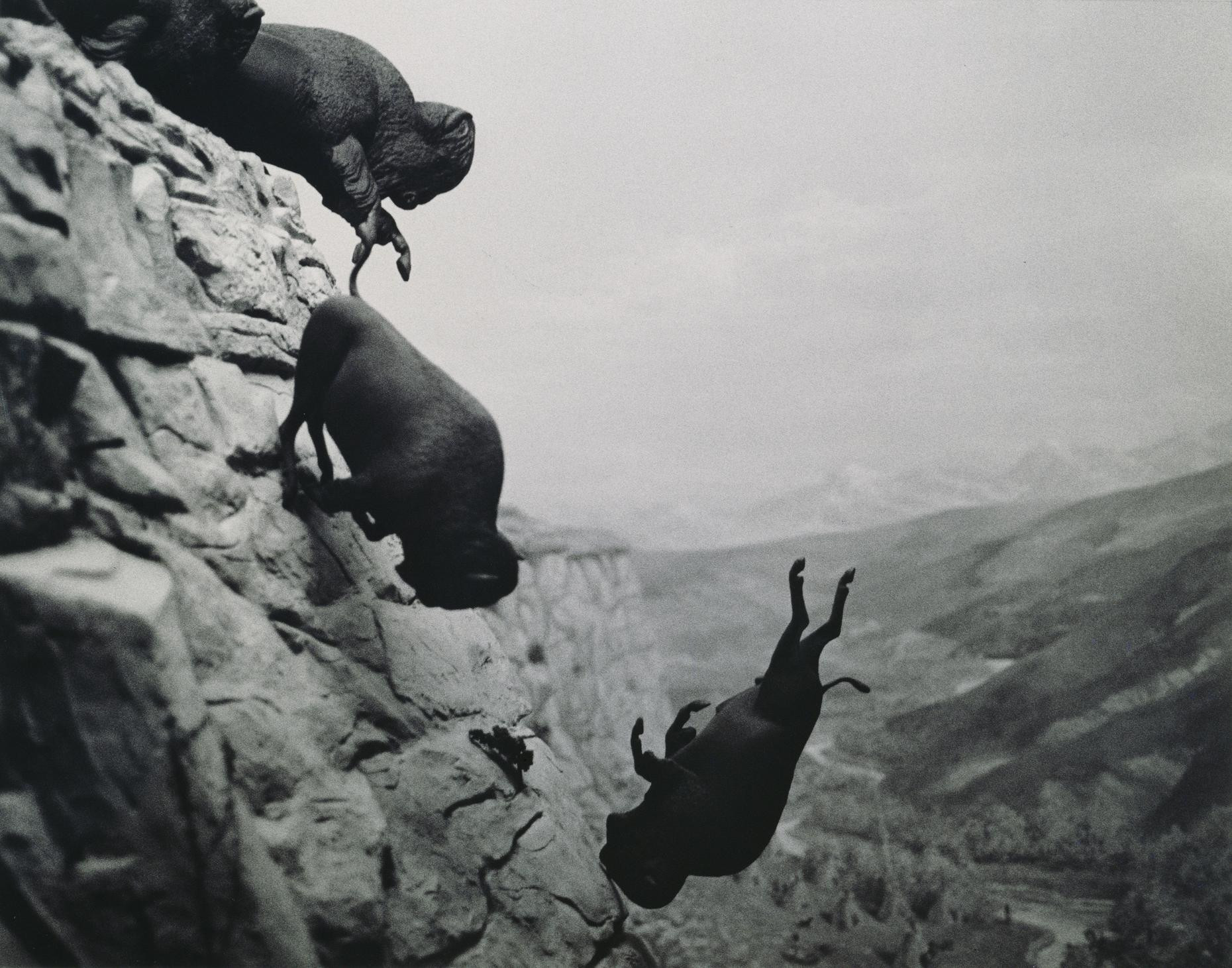 David Wojnarowicz, Untitled, 1988-1989, 40,6×50.8 cm, Gelatin silver print, Collection of Steven Johnson & Walter Sudol, Courtesy of the Second Ward Foundation, © the Estate of David Wojnarowicz & P.P.O.W.-New York