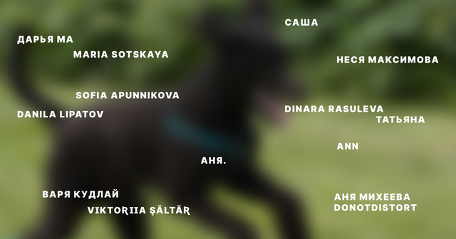 Полудетективная история об исчезнувшем предложении  