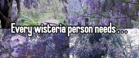 язык отражает нашу социальную неопределённость