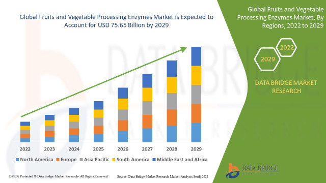 How the Fruits and Vegetable Processing Enzymes Market Is Expanding with Clean Label Trends