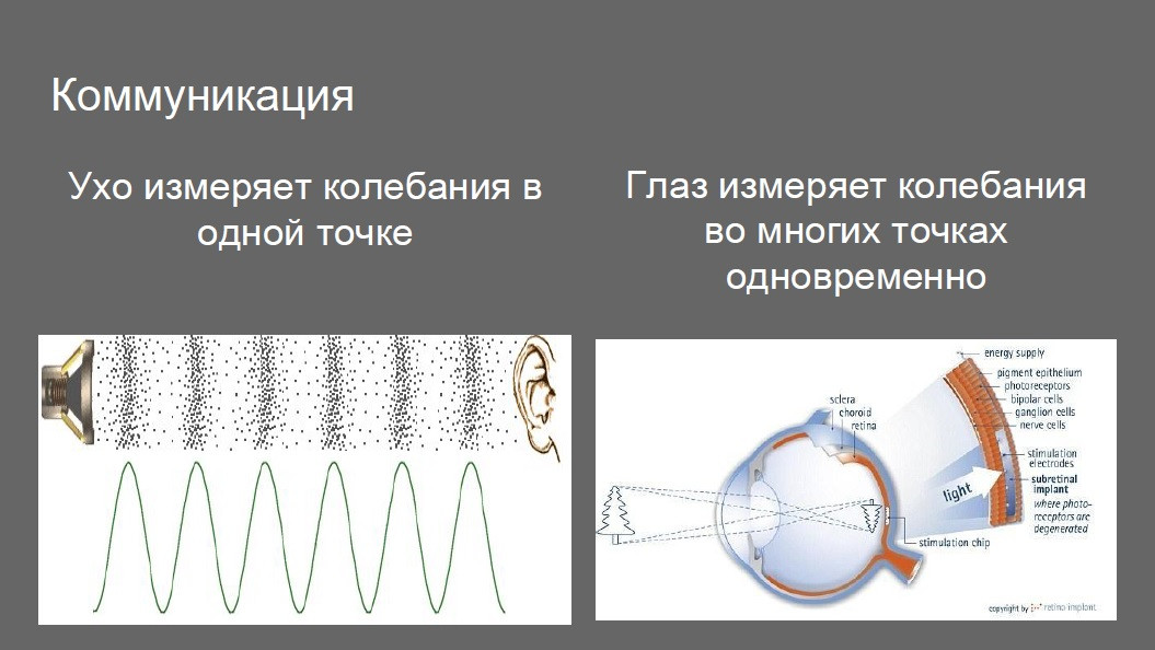 Чем отличаются уши от&nbsp;глаз?