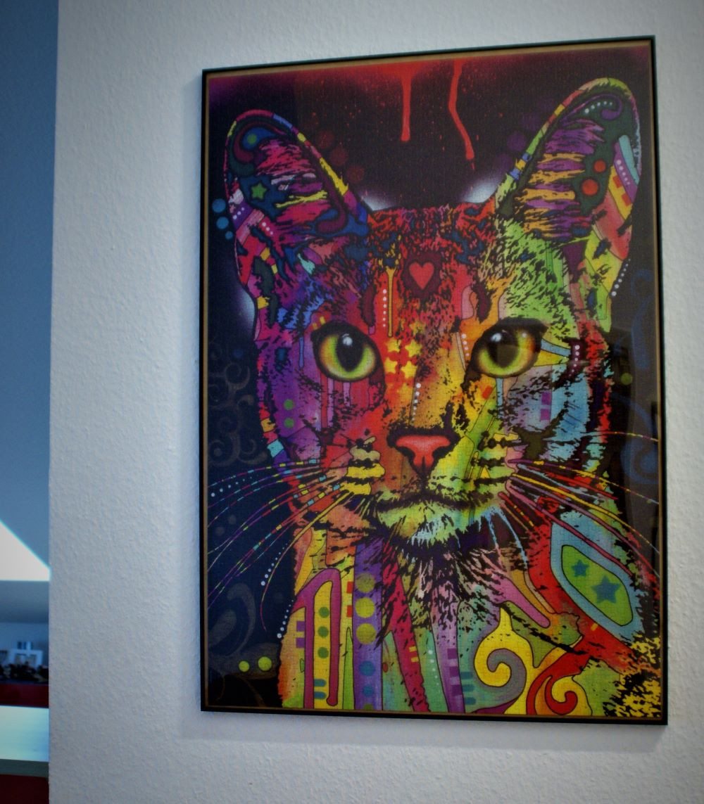 Эта кошка — наша Кая. Посмотри, она какая. © Строфа из детского стишка Йоланты Кульм, в честь героини которой была названа кыця.