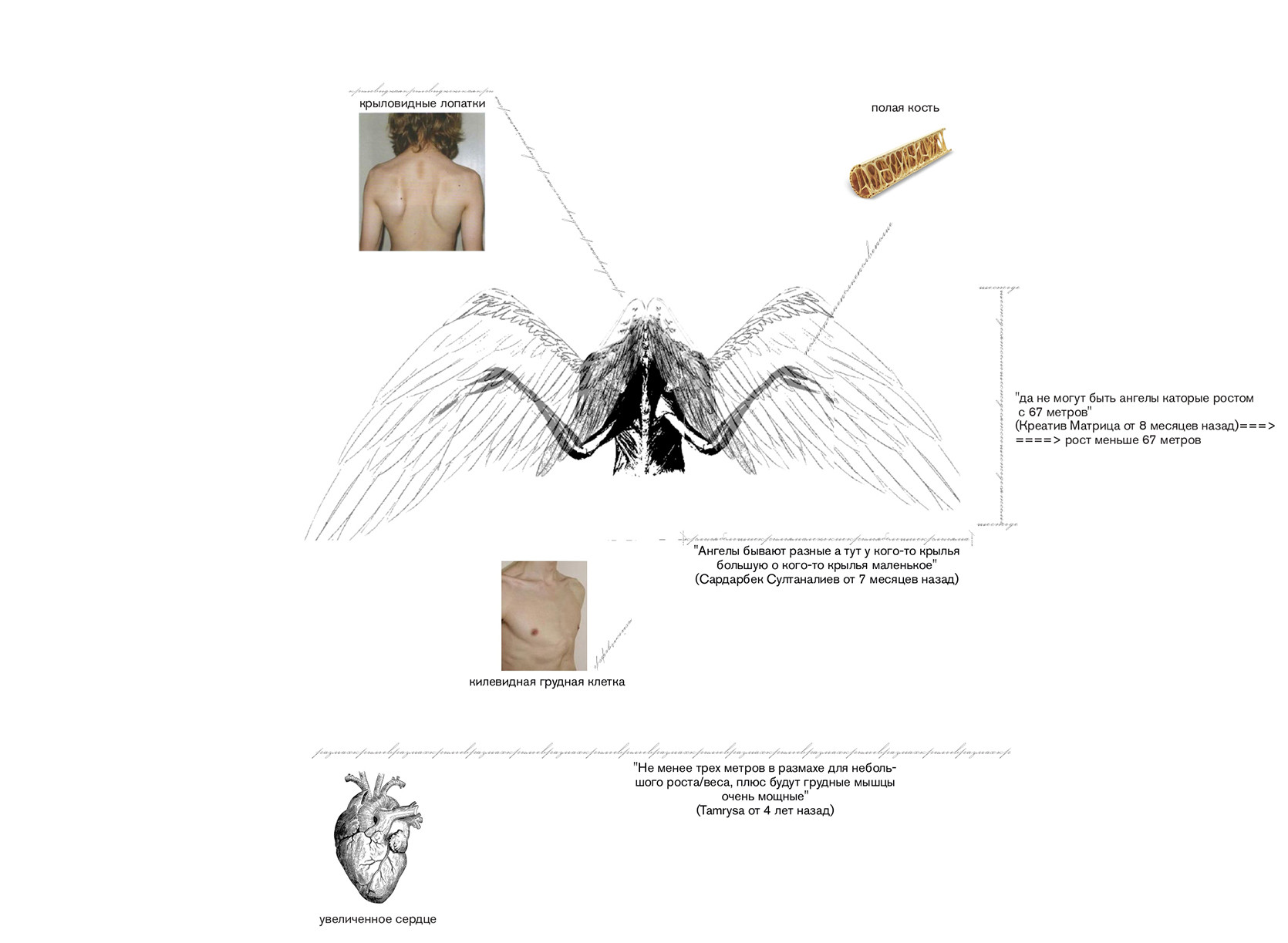Первый анатомический уровень. Ангельская природа на&nbsp;пути нашего знания об&nbsp;анатомии