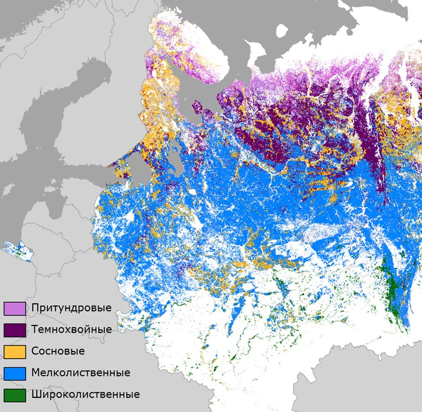 Фрагмент карты «Леса России» (Барталев и&nbsp;др., 2004). Источник