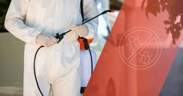 How to Get Your Pest Control Business to the Top of Local Google Searches