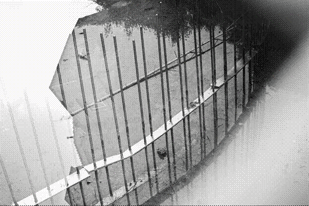 Полное этномузыковедческое исследование песни «Кумушки» в «Ностальгии» Андрея Тарковского