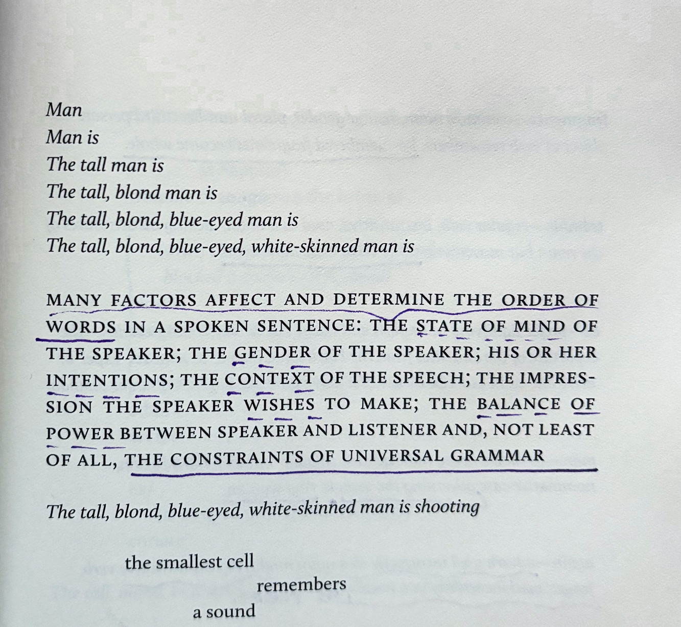 фрагмент поэмы М. НурбеСе Филип "Universal Grammar"