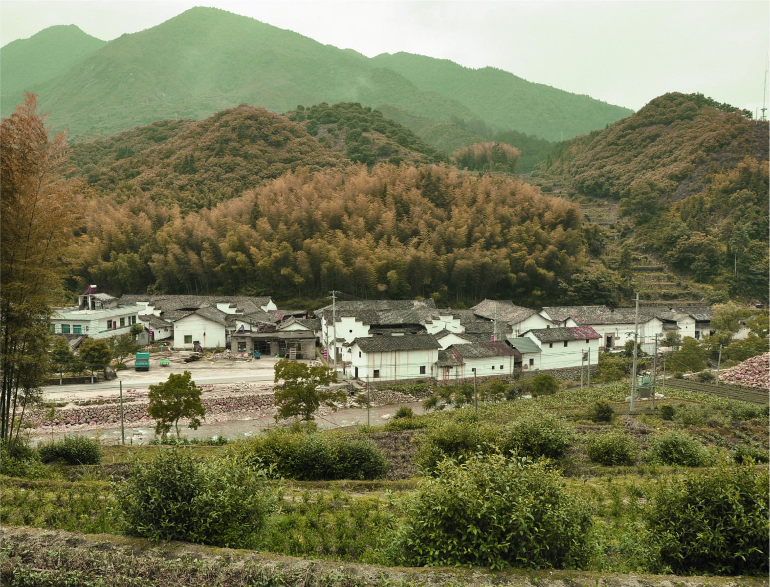 Shicang. Участок проектирования. Фото автора