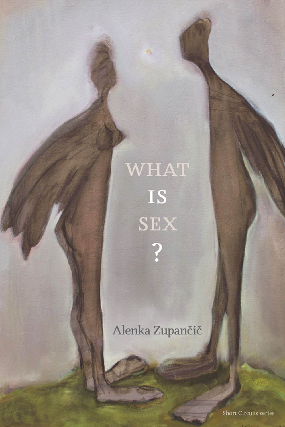 Alenka Zupančič. What IS sex? The MIT Press, 2017